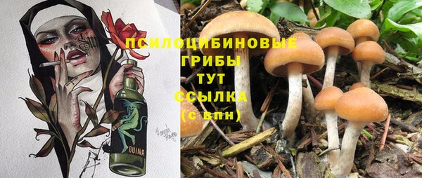 COCAINE Баксан