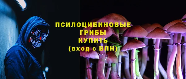 МДПВ Балахна