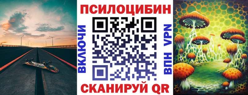 OMG ссылка Реутов Псилоцибиновые грибы мицелий