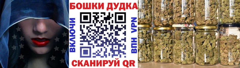 дарк нет телеграм Реутов Бошки марихуана конопля